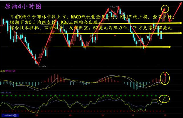 新奥最准免费资料大全,可靠操作策略方案_复古版62.745