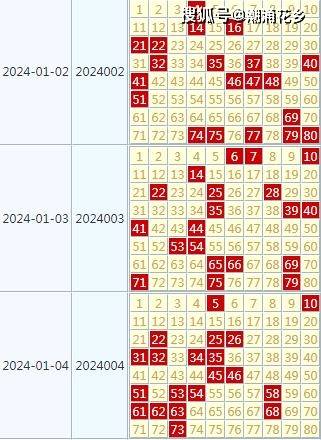 2024天天开好彩大全,真实数据解析_安卓20.847