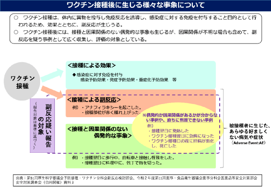 科兴疫苗问题最新赔偿方案公布,灵活解析执行_领航款56.512