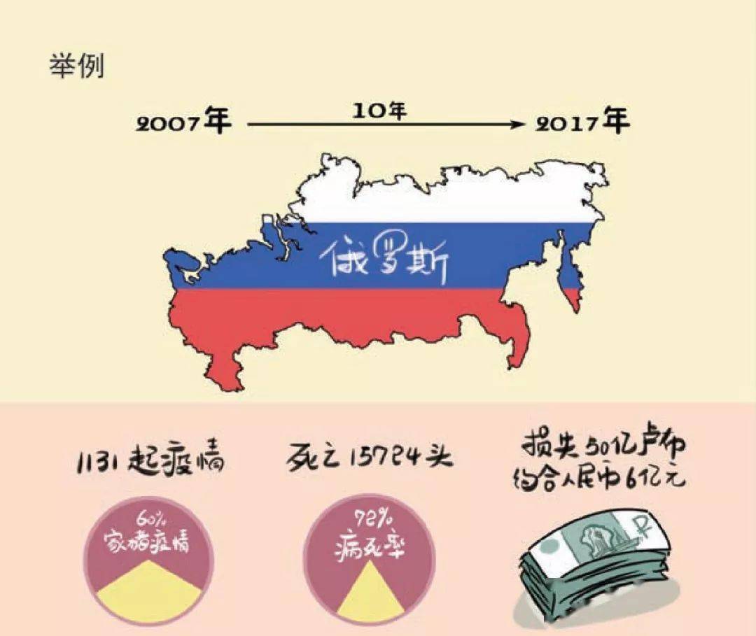 2024澳门四不像解析图,迅速响应问题解决_本地版55.298